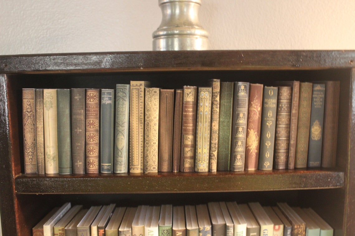 Random Shelf Fillers 1/3 Scale Faux Books Collection One Etsy