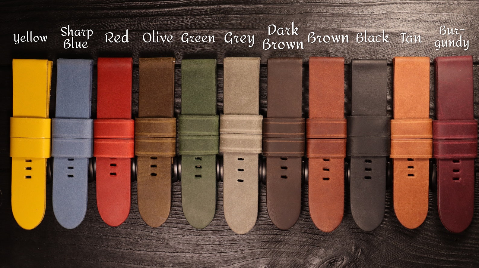 Garmin Watch Band Garmin Fenix 66S6X Pro /55S5X /3HR Etsy