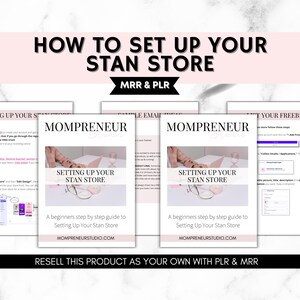 The Beginners Guide to Stan Store with Master Resell Right MRR and Private Label Rights PLR - a DFY Digital Marketing Product - Lead Magnet