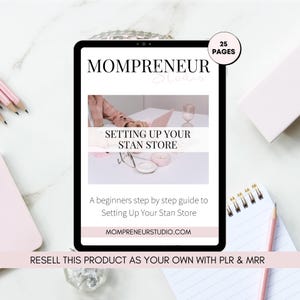 Der Anfängerleitfaden für den Stan Store mit Master Resell Right MRR und Privatmarkenrechten PLR - ein DFY Digital Marketing Produkt - Bleimagnet