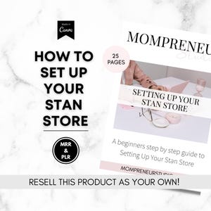 Der Anfängerleitfaden für den Stan Store mit Master Resell Right MRR und Privatmarkenrechten PLR - ein DFY Digital Marketing Produkt - Bleimagnet
