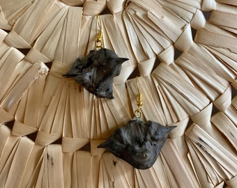 Handmade Earrings, featuring Bat Nut/ Devil Pods /Water Chestnut. Organic girlfriend gift for Mom, unique jewelry for a nature lover
