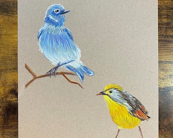 Blauvogel und Leiothrix, Original Pastellmalerei