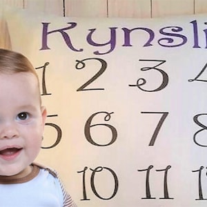 Baby Monthly photo prop. Milestone pillow, Milestone photo
