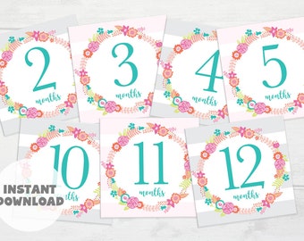 Baby Girl Monthly Milestone Cards - Etsy