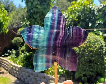 Rainbow Fluorite Flower on Stand - Mental Clarity, Stability, Concentration, Protection - Fluorite Healing Crystals Gemstones