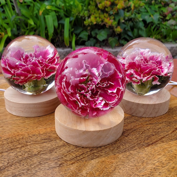 Pink Carnation Resin Sphere with Light Base | Handmade Resin Craft with Real Carnation Inside - Home Décor Night Light, Accent Lighting