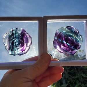 Rainbow Fluorite Rose in Display Box - Mental Clarity, Stability, Concentration, Energetic Protection - Flower Carved Rose Crystal Gemstone