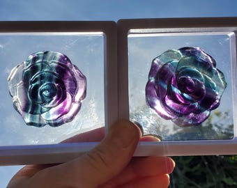 Rainbow Fluorite Rose in Display Box - Mental Clarity, Stability, Concentration, Energetic Protection - Flower Carved Rose Crystal Gemstone