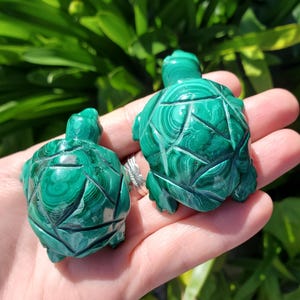 Può includere: Due sculture di tartaruga in malachite verde. Le tartarughe sono scolpite in un motivo geometrico dettagliato. Le sculture sono sulla mano di una persona.