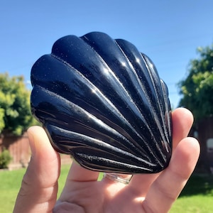 Puede incluir: Un cristal de obsidiana negra tallado en forma de concha. El cristal es liso y pulido, con un acabado brillante.