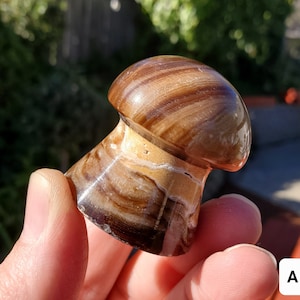 Cute Chocolate Calcite Mushroom - Awareness, Calming, Cleansing, Personal Growth - Calcite Mushie Carving Healing Gemstones