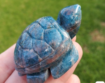 Blue Apatite Turtle - Intuition, Mental Clarity, Communication, Manifestation - Blue Crystal Turtle Carving Stone Healing Gemstones