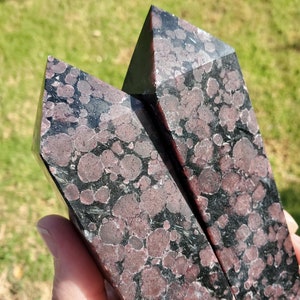 May include: Two black and red speckled crystal points. The points are faceted and have a rough, natural texture.