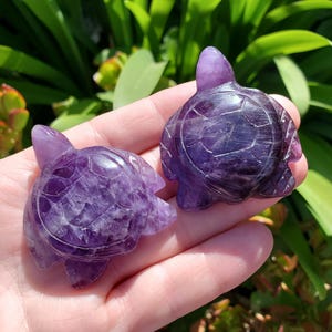 Könnte beinhalten: Zwei geschnitzte Amethyst-Schildkrötenfiguren. Die Schildkröten haben eine tiefviolette Farbe mit detaillierten Schalenmustern und kleinen Köpfen und Flossen. Die Figuren werden in einer Hand vor einem Hintergrund aus grünem Laub gehalten.