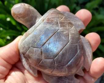 Flashy Moonstone Turtle with Sunstone - Uplifting, Raises Vibration, Feminine Energy, Empowering - Flashy Crystal Turtle Healing Gemstone