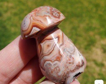 Cute Druzy Pink Lace Agate Mushroom - Balance of the Physical, Mental & Emotional, Energy Shield - Agate Crystal Mushie Carving Healing Gem