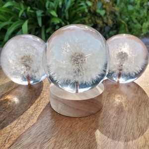 Dandelion Resin Sphere with Light Base | Handmade Resin Craft with Real Dandelion Inside - Home Décor Night Light, Accent Lighting