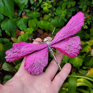 Pink Aura Kyanite Dragonfly - Calming, Clarity, Connection, Communication, Balances Chakras - Pink Dragonfly Healing Gemstone