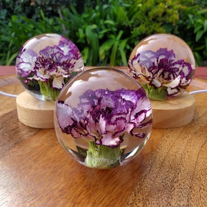 Purple Carnation Resin Sphere with Light Base | Handmade Resin Craft with Real Carnation Inside - Home Décor Night Light, Accent Lighting