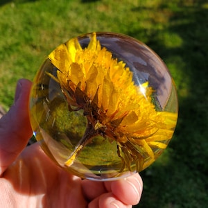 Sunflower Resin Sphere with Light Base Handmade Resin Craft with Real Sunflower Inside Home Décor Night Light, Accent Lighting image 5