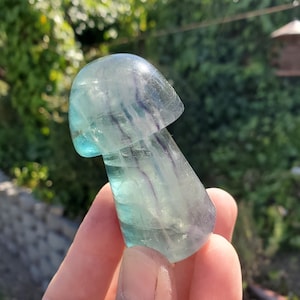 Chunky Rainbow Fluorite Mushroom - Mental Clarity, Balance, Concentration, Protection - Fluorite Carved Mushroom Healing Gemstones