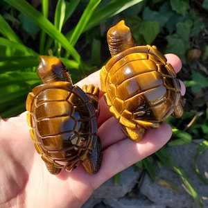 Tortuga Ojo de Tigre Brillante: Coraje, Motivación, Confianza, Conexión a Tierra, Protección Energética, Energía - Gemas Curativas de Ojo de Tigre