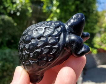 Obsidian Turtle with Feng Shui Coin Design - Self Reflection, Release Negative Energies - Black Tortoise Carving Healing Crystals Gemstones