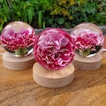 Pink Carnation Resin Sphere with Light Base | Handmade Resin Craft with Real Carnation Inside - Home Décor Night Light, Accent Lighting