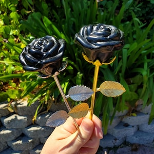 May include: Two black rose sculptures with metallic stems and leaves. One rose has a gold stem and leaves, the other has a silver stem and leaves. The roses are held in front of a green leafy background.
