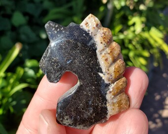 Small Petrified Palm Root Unicorn Carving - Calming, Cleansing, Positive Energy - Unicorn Crystal Stone Healing Crystals Gemstones