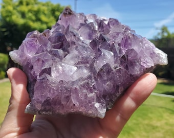 5" Cute Amethyst Geode with Golden Rutile - Calming, Cleanses Body & Aura, Stress Relief, Positivity - Purple Crystal Cluster Gemstone