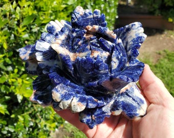 Big Sodalite Flower - Logic, Insight, Connection - Dark Blue Sodalite Rose Carved Stone Healing Crystal Gemstone Statement