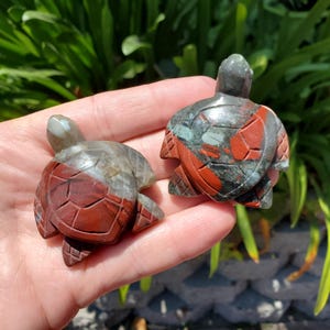 Puede incluir: Dos figuras de tortugas de piedra tallada. Las tortugas tienen una combinación de colores marrón rojizo y gris, con detalles intrincados en sus caparazones y cabezas. Las figuras se sostienen en una mano, con un fondo de hojas verdes.