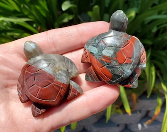 Cute African Bloodstone Turtle - Calming, Grounding, Persistence, Courage - Black and Red Crystal Turtle Carving Healing Gemstone