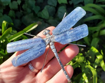 Raw Blue Kyanite Dragonfly - Calming, Clarity, Connection, Communication, Balances Chakras - Kyanite Crystal Dragonfly Gemstone