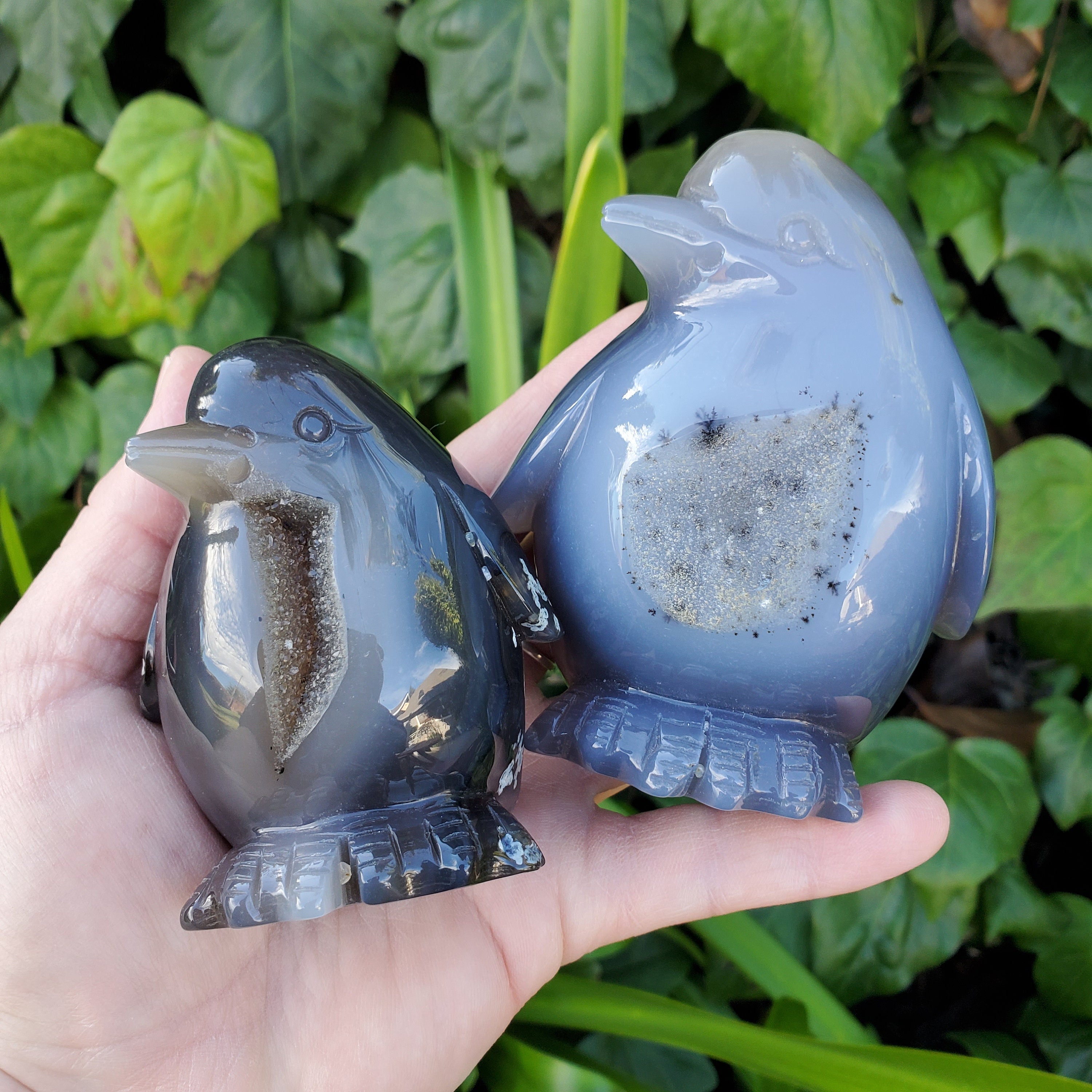 Druzy Agate Penguin Druzy Agate Penguin
