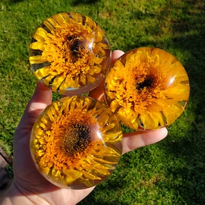 Sunflower Resin Sphere with Light Base Handmade Resin Craft with Real Sunflower Inside Home Décor Night Light, Accent Lighting image 3