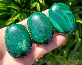 Malachite Palm Stone - Protection, Blocks EMF, Absorbs Negativity, Encourages Positive Change - Handheld Smooth Crystal Round Gemstone