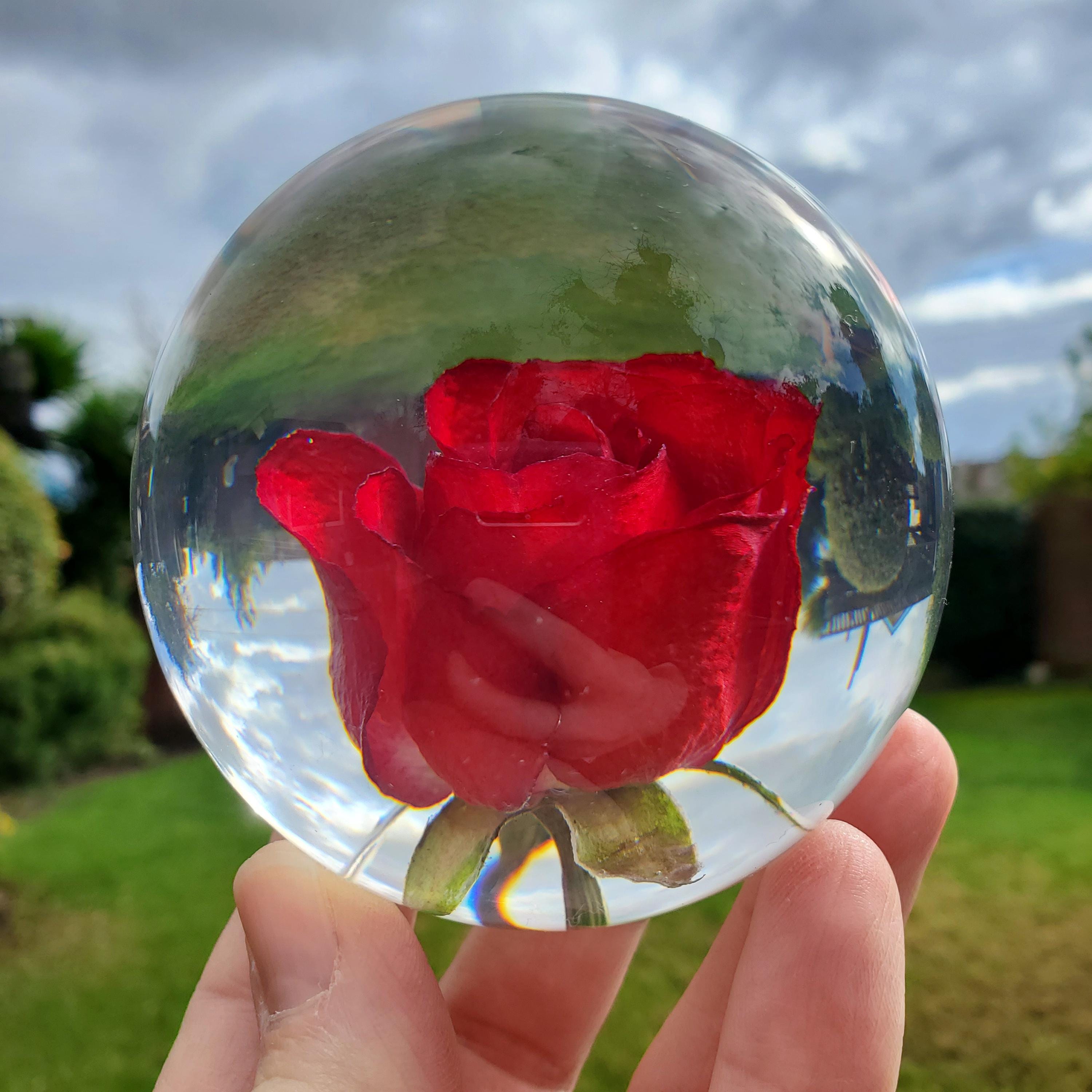 Red Rose Resin Accent Light With Wooden Stand | Handmade