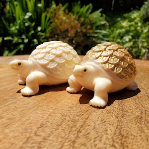 Ivory Nut Turtle Carving with Feng Shui Coin Design - Prosperity, Happiness, Love, Abundance - 3&quot; Carved Tortoise Figurine Statue Home Decor