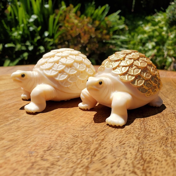 Ivory Nut Turtle Carving With Feng Shui Coin Design - Prosperity