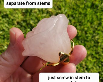 Rose Quartz Long Stem Rose 6