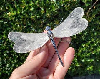 Butterfly, Wings, Wands