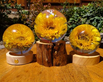 Sunflower Accent Light with Wooden Stand | Handmade Resin Craft with Real Sunflower Inside - Home Décor Night Light, Accent Lamp, Mood Light