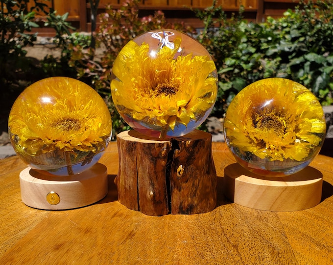 Featured listing image: Sunflower Accent Light with Wooden Stand | Handmade Resin Craft with Real Sunflower Inside - Home Décor Night Light, Accent Lamp, Mood Light