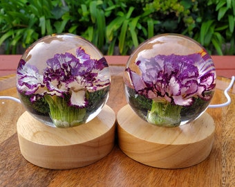 Lamps & Trinket Jars