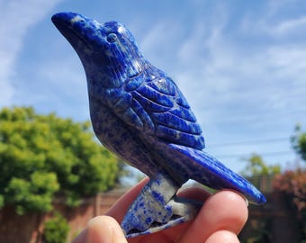 Lapis Lazuli Bird - Speak Your Truth, Communication, Stand In Your Power - Standing Lapiz Lazuli Carved Crystal  Bird Healing Gemstone