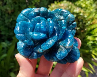 Blue Apatite Flower - Intuition, Mental Clarity, Communication, Manifestation - Crystal Rose Carving Healing Gemstone