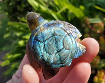 Animal Carvings